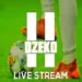 Dzeko11 APK