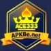 Ace333