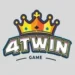 4twin Game